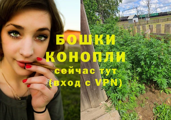 эйфоретик Богданович
