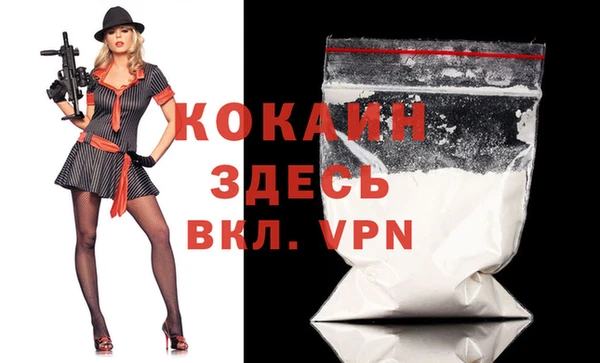 эйфоретик Богданович