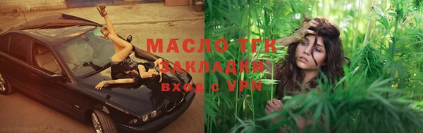 эйфоретик Богданович