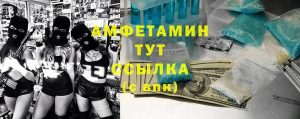 молекула духа Богородицк