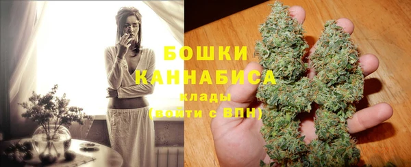 молекула духа Богородицк